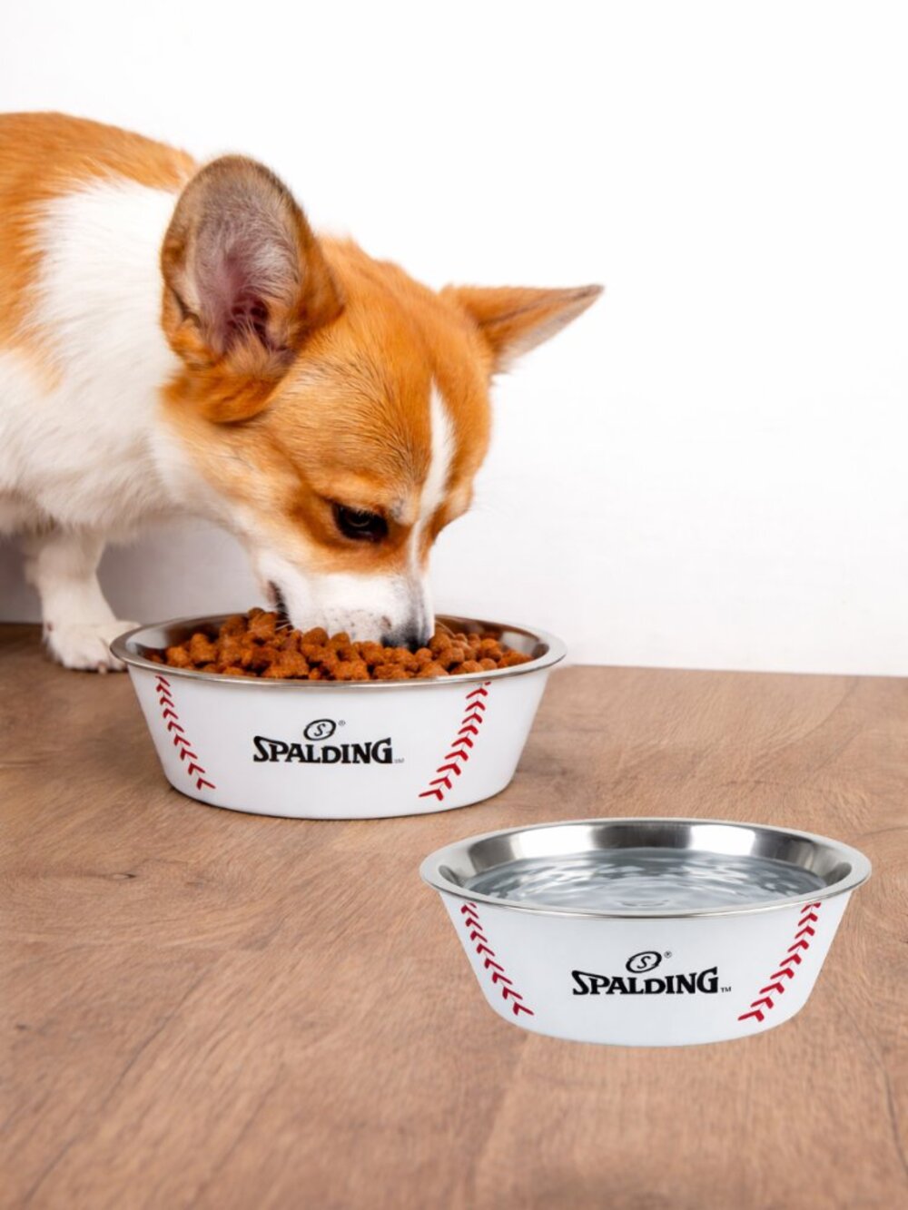 Spalding Baseball Dog Bowl Set (2-Pack) | Stainless Steel Pet Bowls | NEW